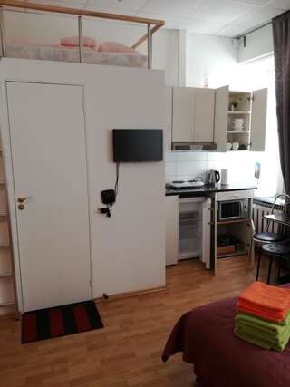 Апартаменты Jovitos Apartment near Gediminas Ave Вильнюс Номер-студио-3