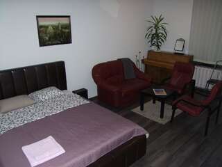 Апартаменты Jovitos Apartment near Gediminas Ave Вильнюс Стандартный номер-студио-3