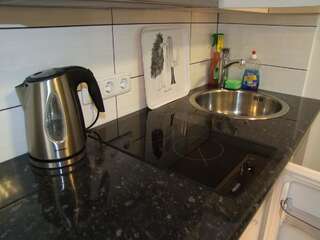 Апартаменты Jovitos Apartment near Gediminas Ave Вильнюс Стандартный номер-студио-14